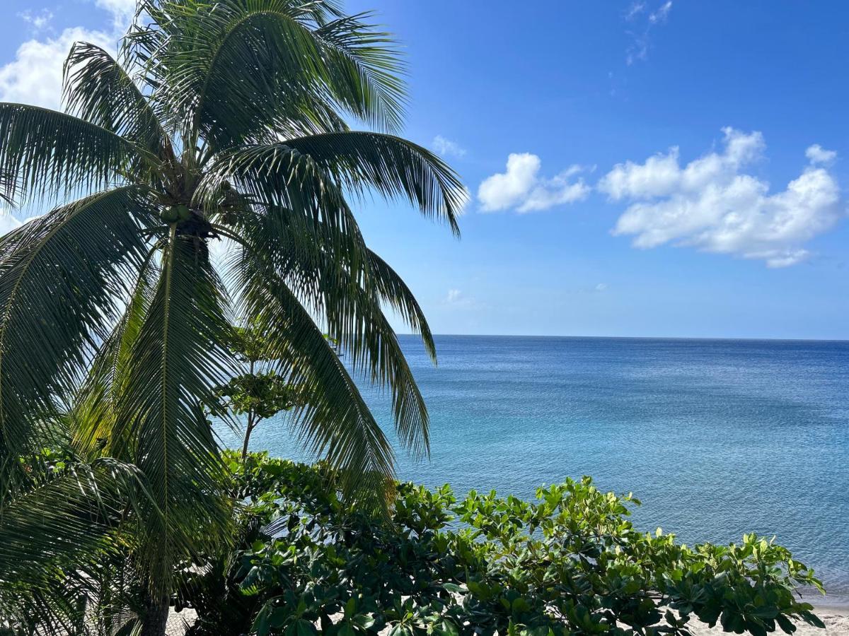 La Plage Martinique Schoelcher Luaran gambar