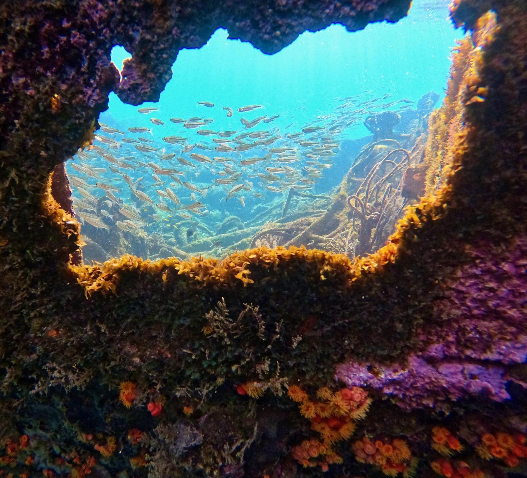 La Plage Martinique Schoelcher Luaran gambar